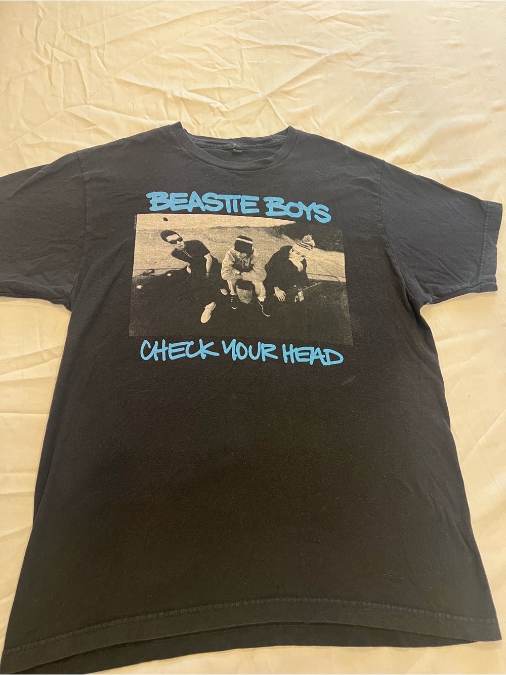 Tultex Black Beastie Boys 'Check Your Head' Graphic Tee with Blue Print